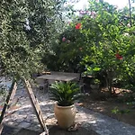 Private Pool By The Sea With Private Garden For Private Use Ferienhaus Koróni