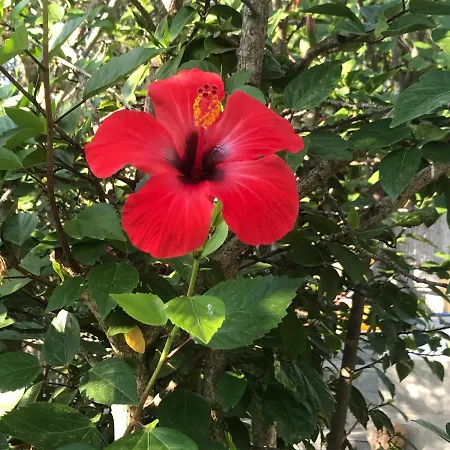 Private Pool By The Sea With Private Garden For Private Use *