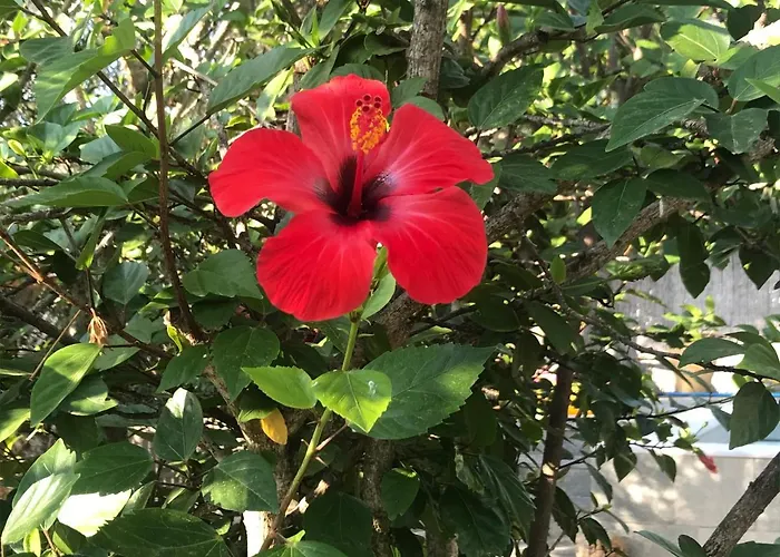 Private Pool By The Sea With Private Garden For Private Use *