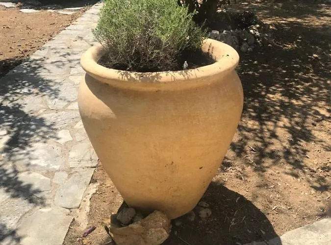 Vakantiehuis Private Pool By The Sea With Private Garden For Private Use *