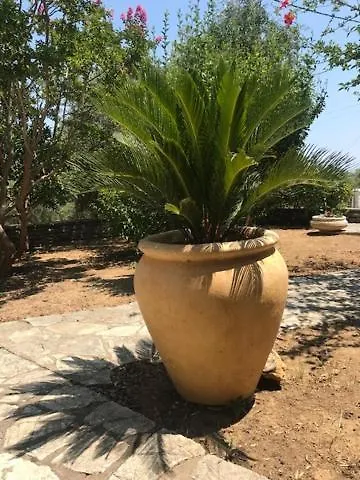 Private Pool By The Sea With Private Garden For Private Use * Koróni